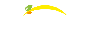 Bonduelle - Nazad na početnu stranicu